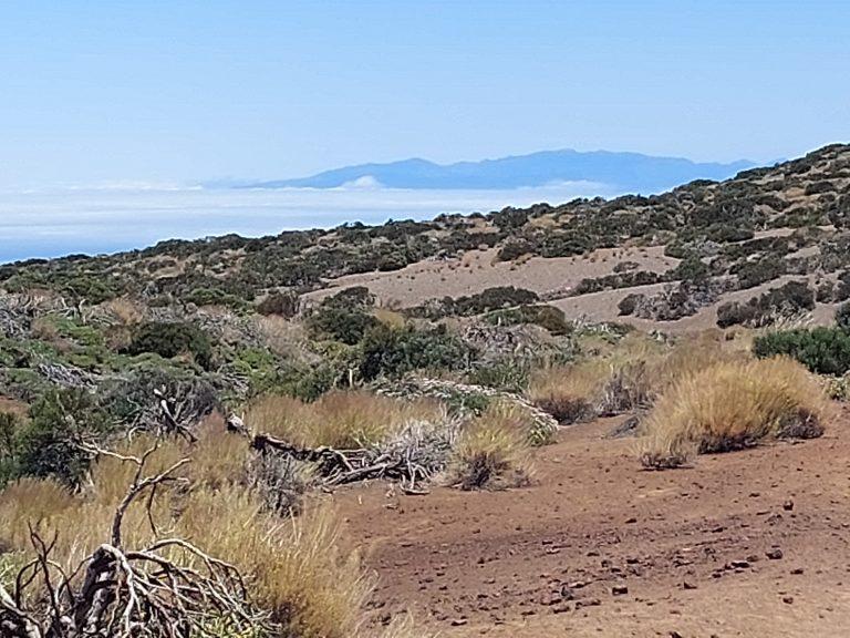 Wanderung Montana Las Vacas