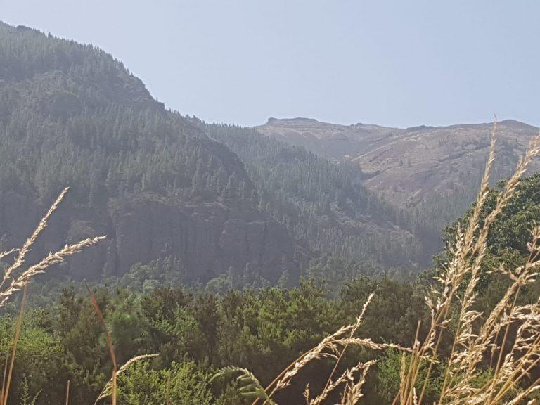Wanderung Aguamansa